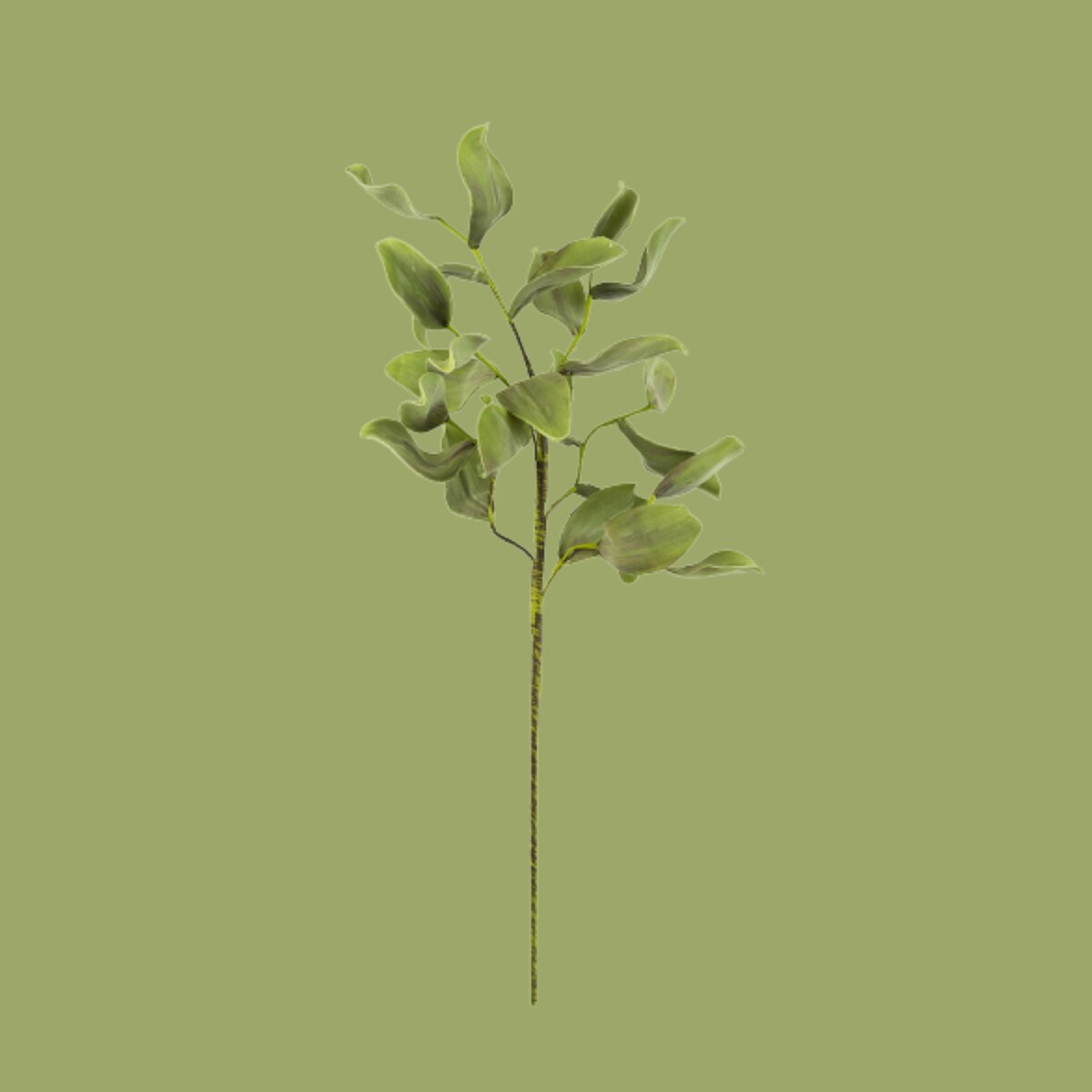 Set of 6 Artificial Stem Botanica 2425