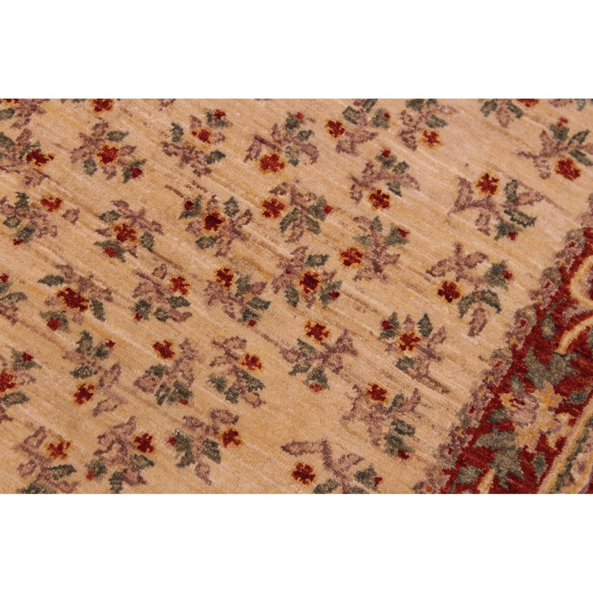 Shabby Chic Ziegler Richelle Ivory Red Hand-Knotted Wool Rug - 3'1'' x 5'2''