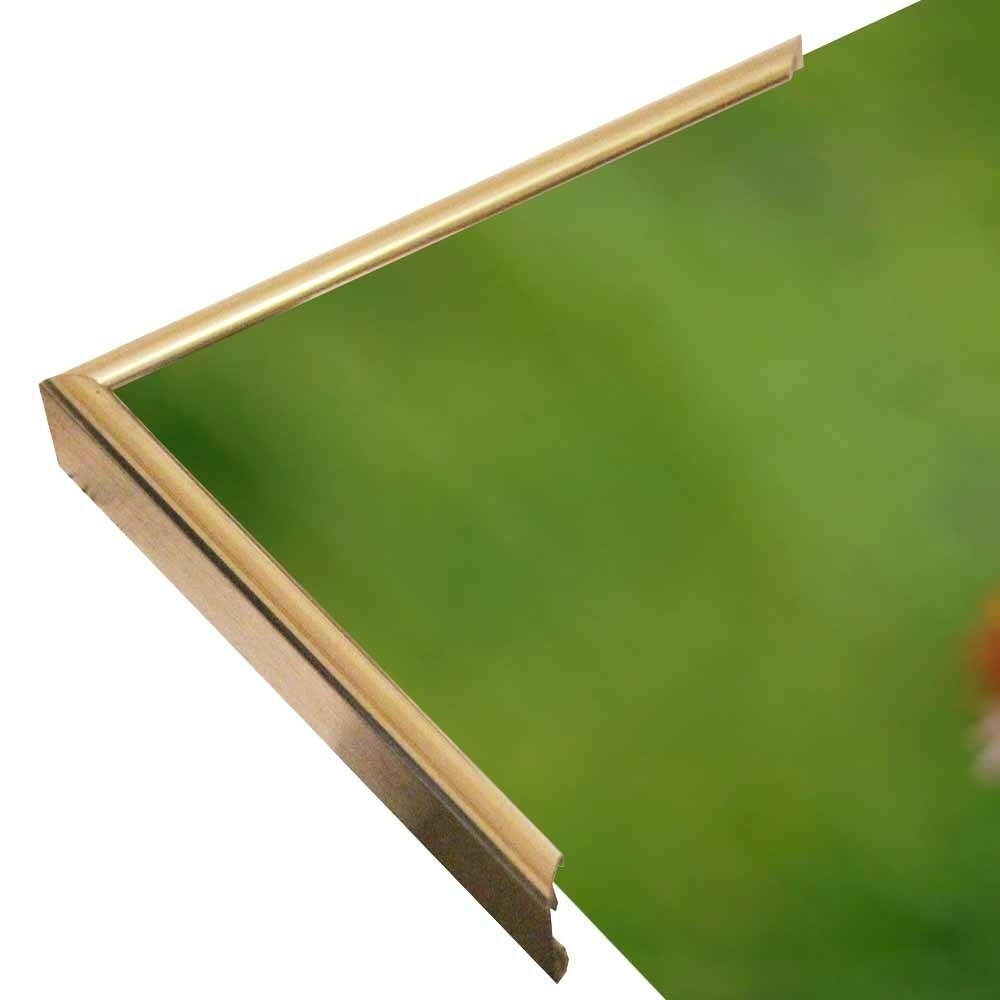Shades Of Nature 8-GORSEM85140 Print 16"x11" by Gordon Semmens