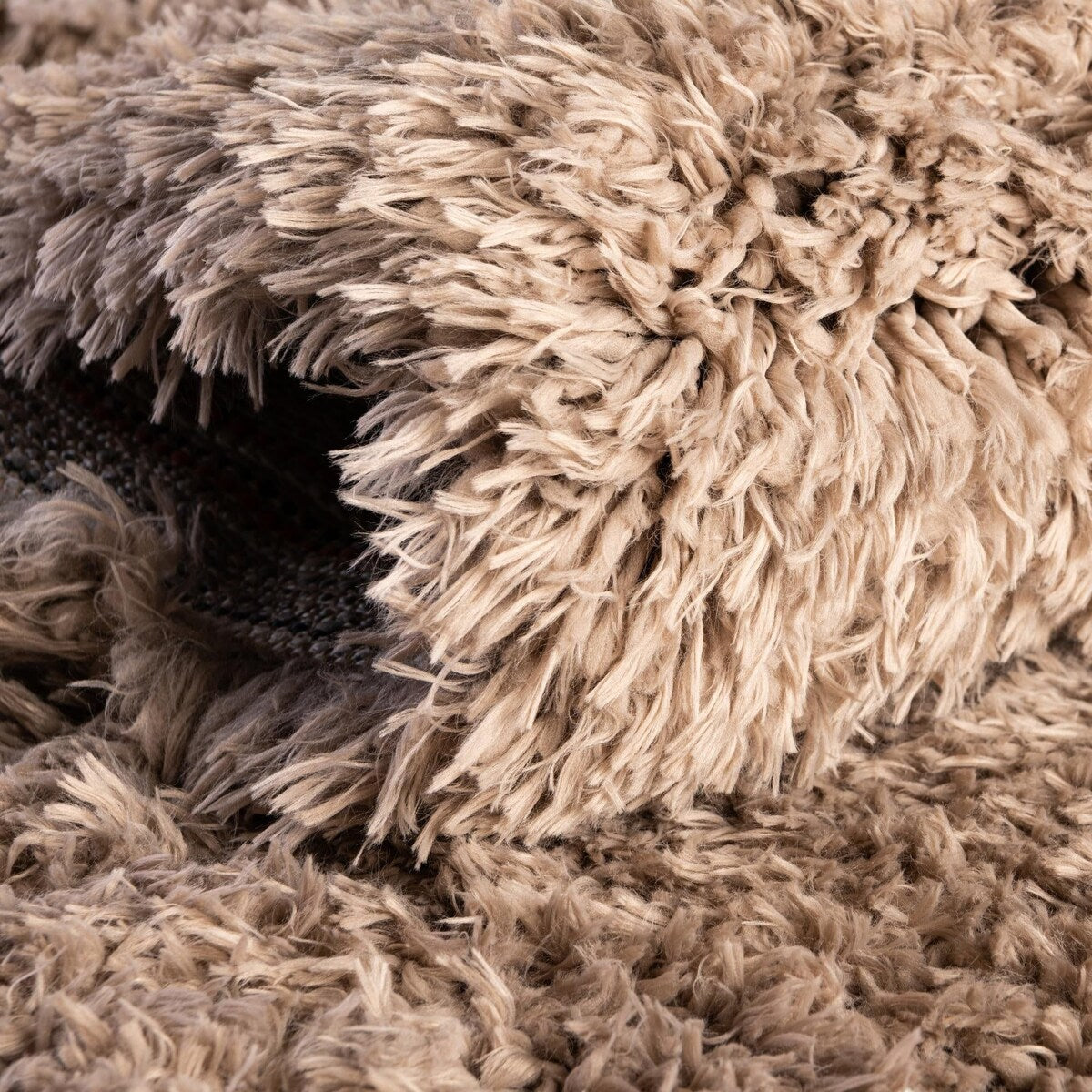 Shag Arum Shag Collection Area Rug