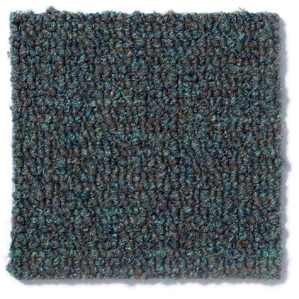 Shaw Berber Superior Green Area Rug - 9' x 12'