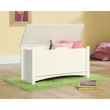 Shoal Creek Collection Storage Chest