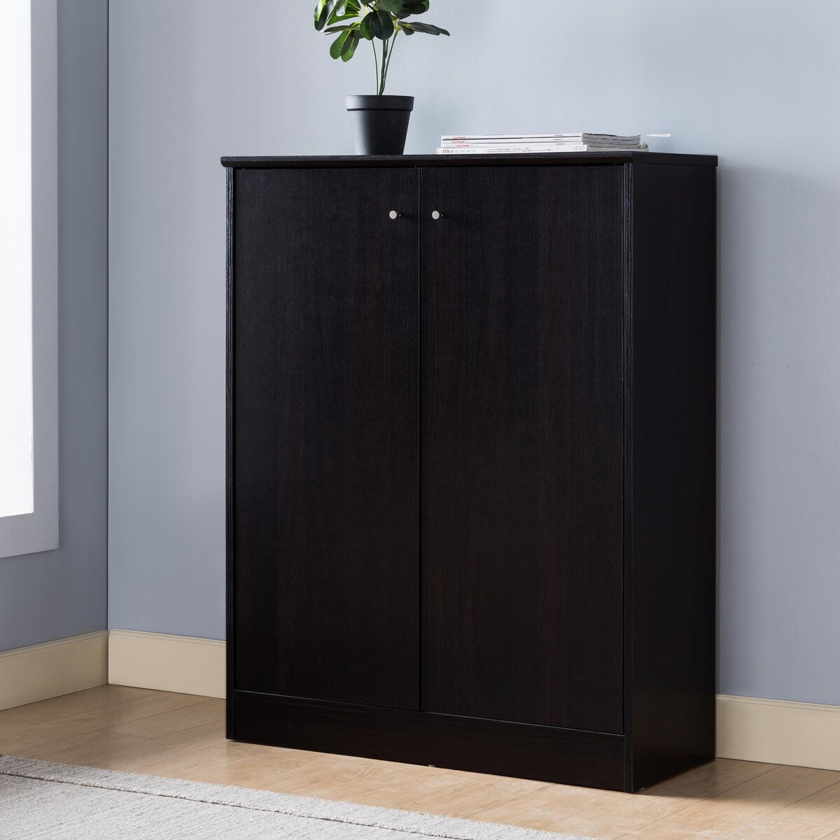 Shoe Cabinet With Two Doors And Five Shelves