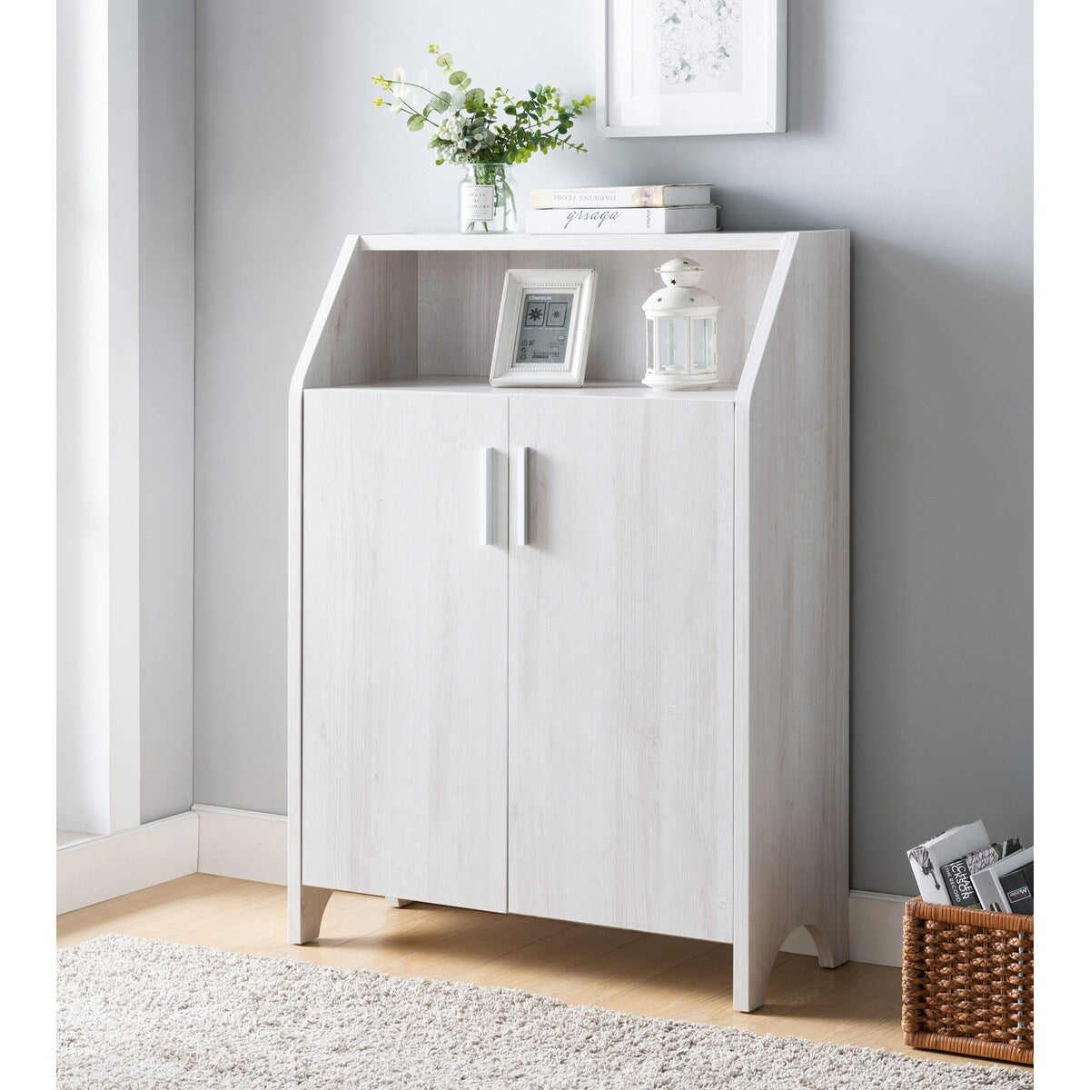 Shoe Storage Cabinet with Single Door Cabinet