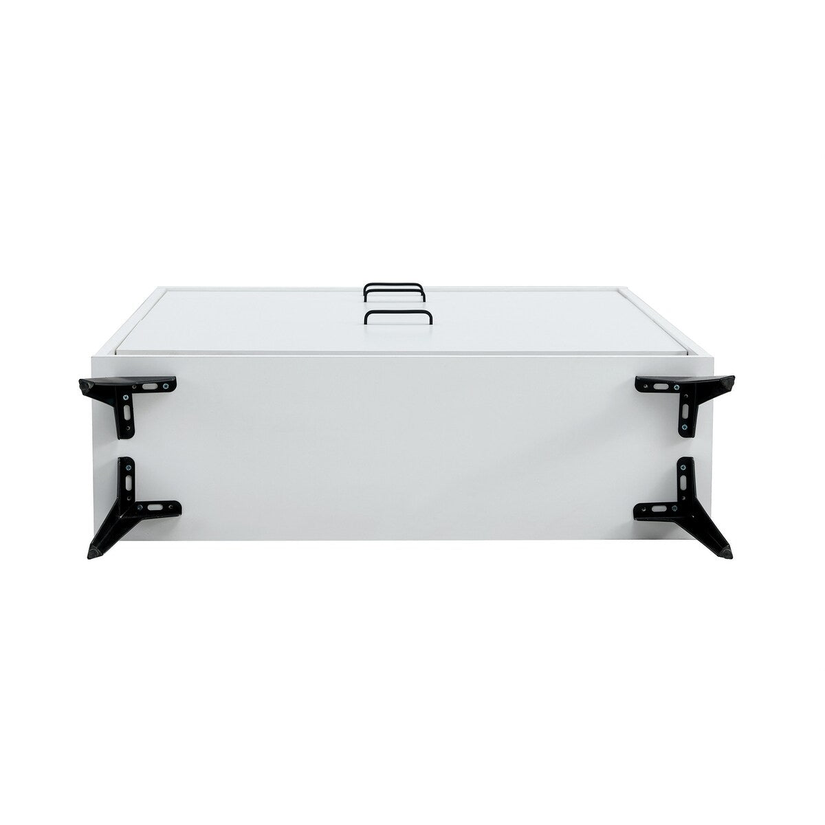 Shoe Storage Shelves With metal leg