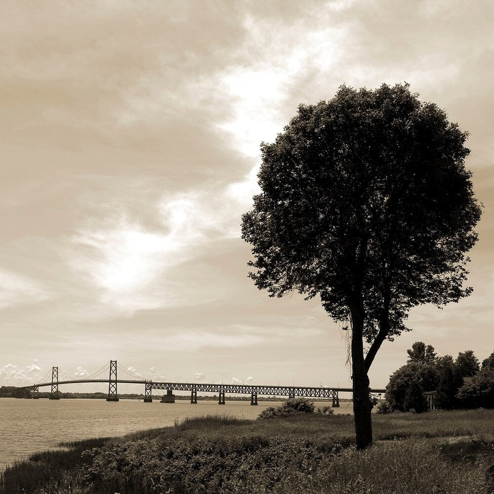 Silhouette II-WILWAY109792 Framed Print 24"x24" by Willow Way Studios, Inc.