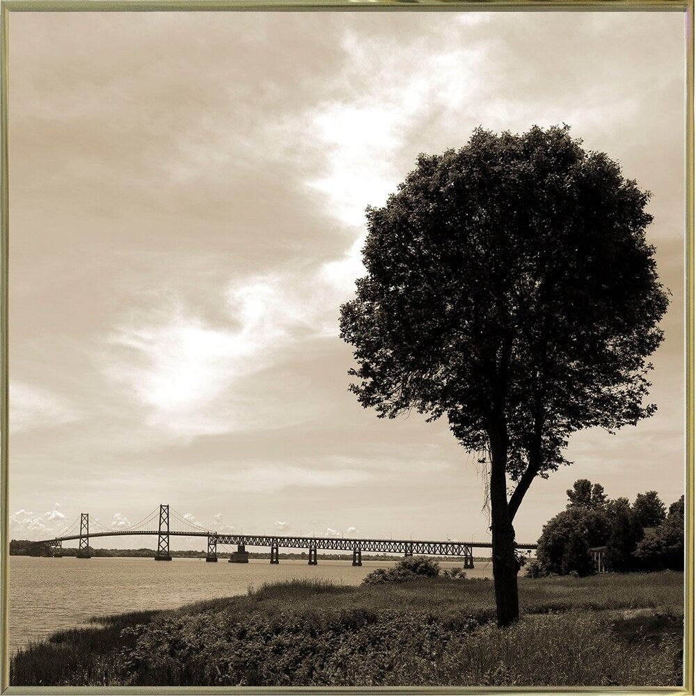 Silhouette II-WILWAY109792 Framed Print 24"x24" by Willow Way Studios, Inc.