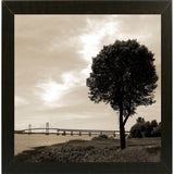 Silhouette II-WILWAY109792 Framed Print 24"x24" by Willow Way Studios, Inc.