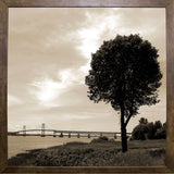 Silhouette II-WILWAY109792 Framed Print 24"x24" by Willow Way Studios, Inc.