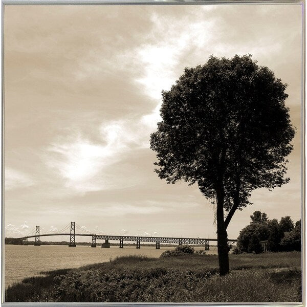 Silhouette II-WILWAY109792 Framed Print 24"x24" by Willow Way Studios, Inc.
