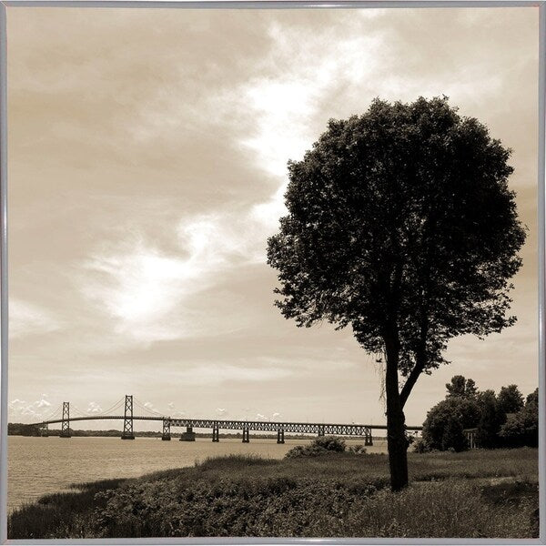 Silhouette II-WILWAY109792 Framed Print 24"x24" by Willow Way Studios, Inc.