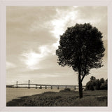 Silhouette II-WILWAY109792 Framed Print 24"x24" by Willow Way Studios, Inc.