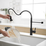 Single-Handle Pull Down Sprayer Kitchen Faucet in Black