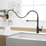 Single-Handle Pull Down Sprayer Kitchen Faucet in Black