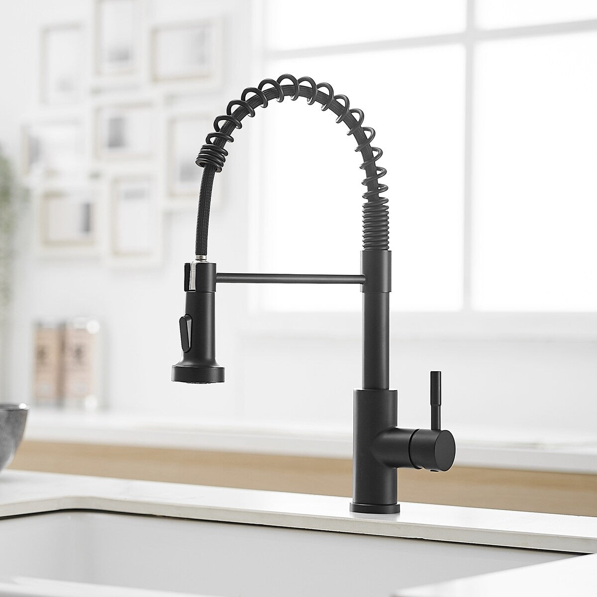 Single-Handle Pull Down Sprayer Kitchen Faucet in Black