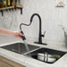 Single Handle Pull-Down Sprayer Kitchen Faucet