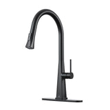 Single Handle Pull-Down Sprayer Kitchen Faucet