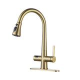 Single Handle Pull-Down Sprayer Kitchen Faucet