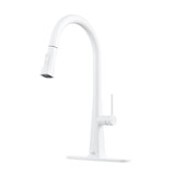 Single Handle Pull-Down Sprayer Kitchen Faucet
