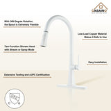 Single Handle Pull-Down Sprayer Kitchen Faucet
