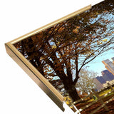 Skyline 2-THOLIN135086 Print 7"x9" by Thomas Linker