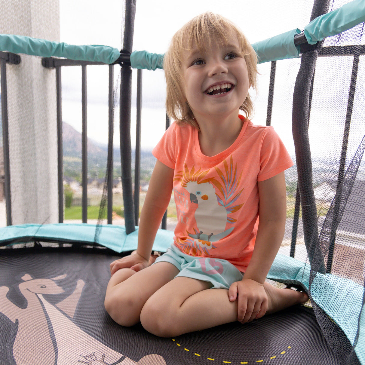 Skywalker Trampolines 48" Kanga mini trampoline