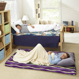 Sleep Innovations 2-inch Memory Foam Roll-Out Lounger