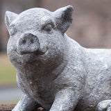 Small Magnesium Piglet Statue "Clover"