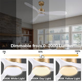 Smart Ceiling Fan with Remote Control