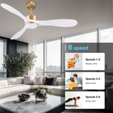 Smart Ceiling Fan with Remote Control
