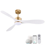 Smart Ceiling Fan with Remote Control