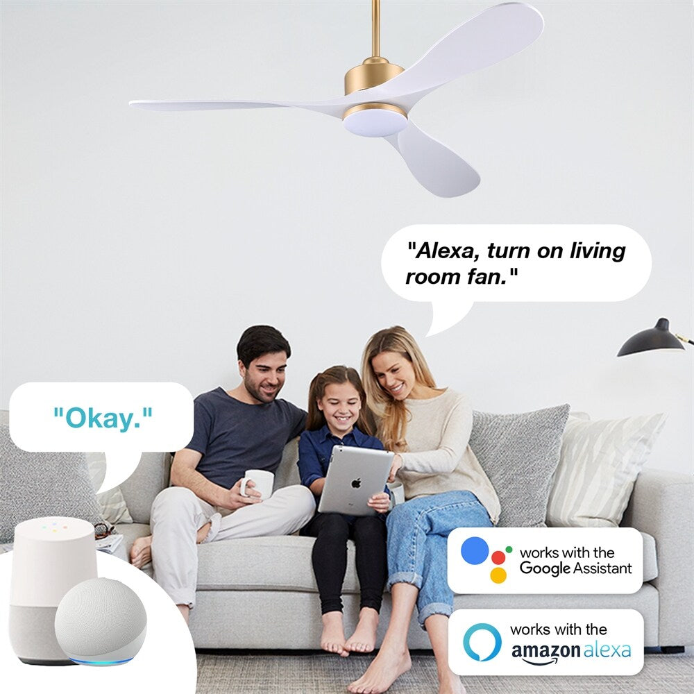 Smart Ceiling Fan with Remote Control
