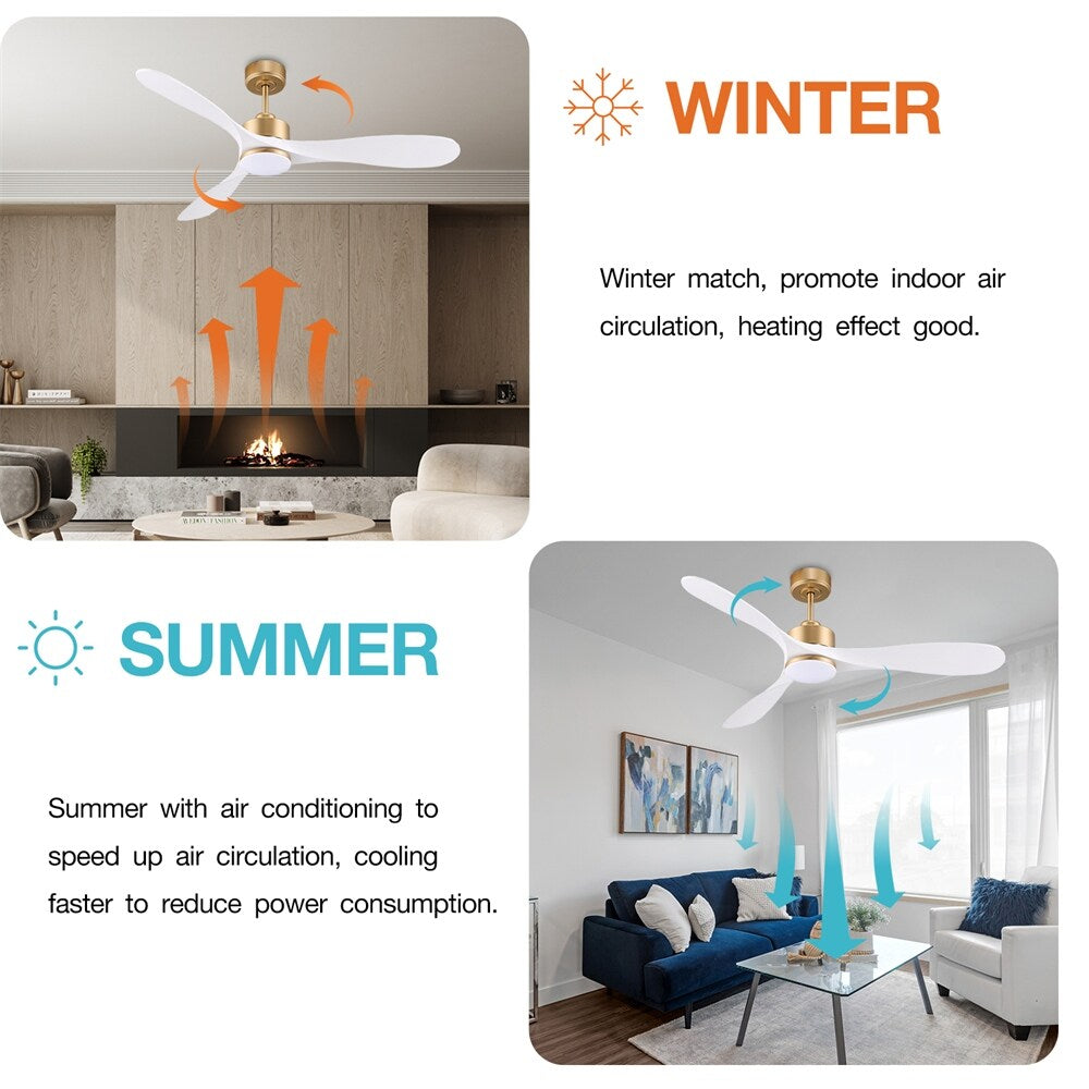 Smart Ceiling Fan with Remote Control