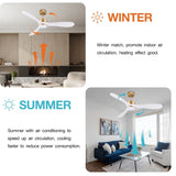 Smart Ceiling Fan with Remote Control