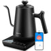 Smart WiFi Electric Kettle with LED Display, Variable Temperature Control, 0.8L, Alexa Compatible - Stainless Steel, Matte Black
