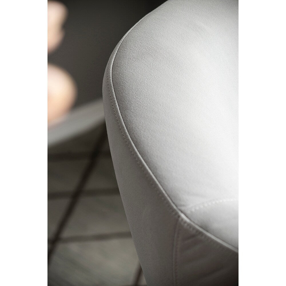 Smog Gray Fabric Stainless Steel Leg Wood Sofa Chair