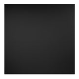 Genesis Black Smooth Pro 2 x 2 ft. Lay-in Ceiling Tiles