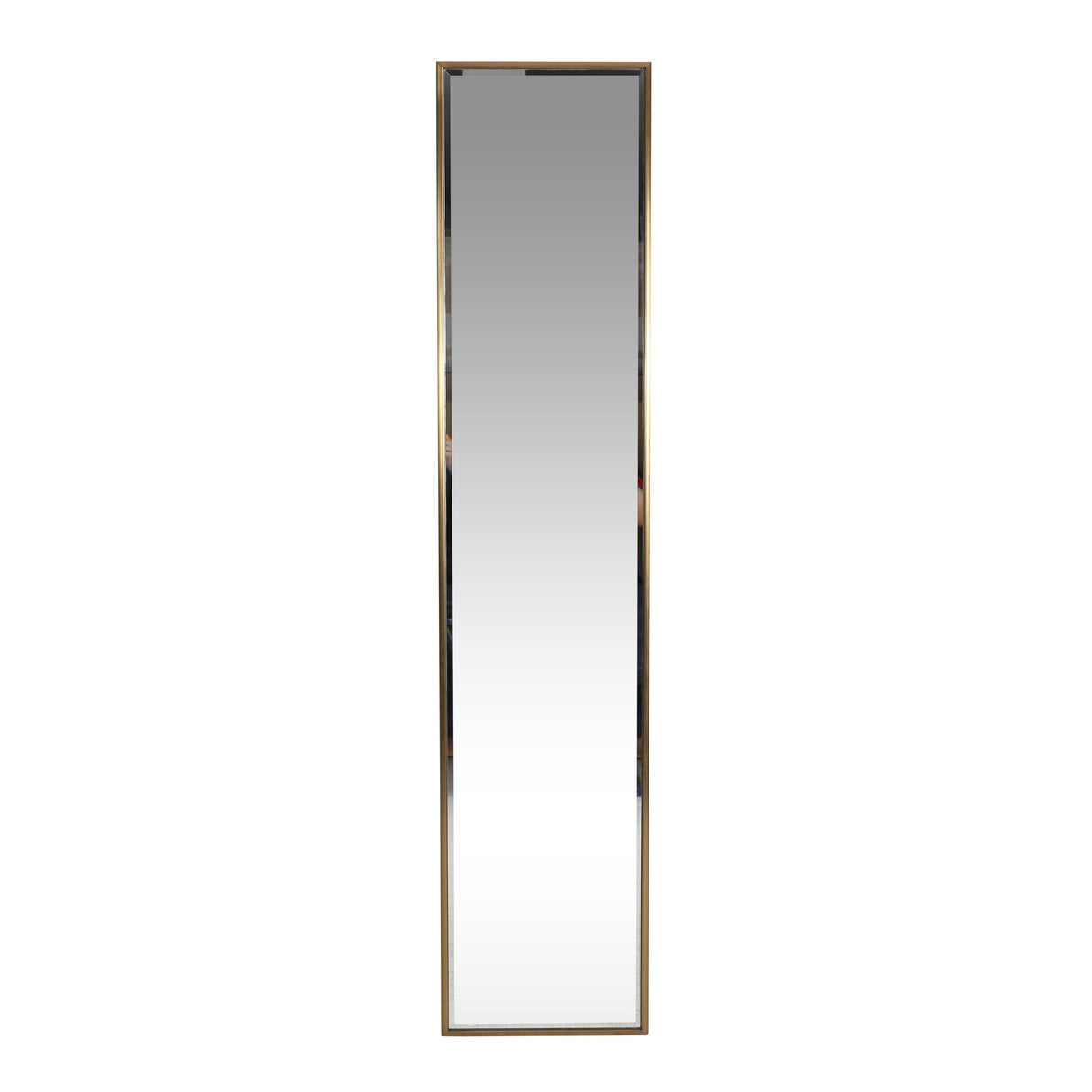 Smythe Contemporary Rectangular Leaner Mirror by Christopher Knight Home - 18.00" W x 1.00" D x 83.00" H