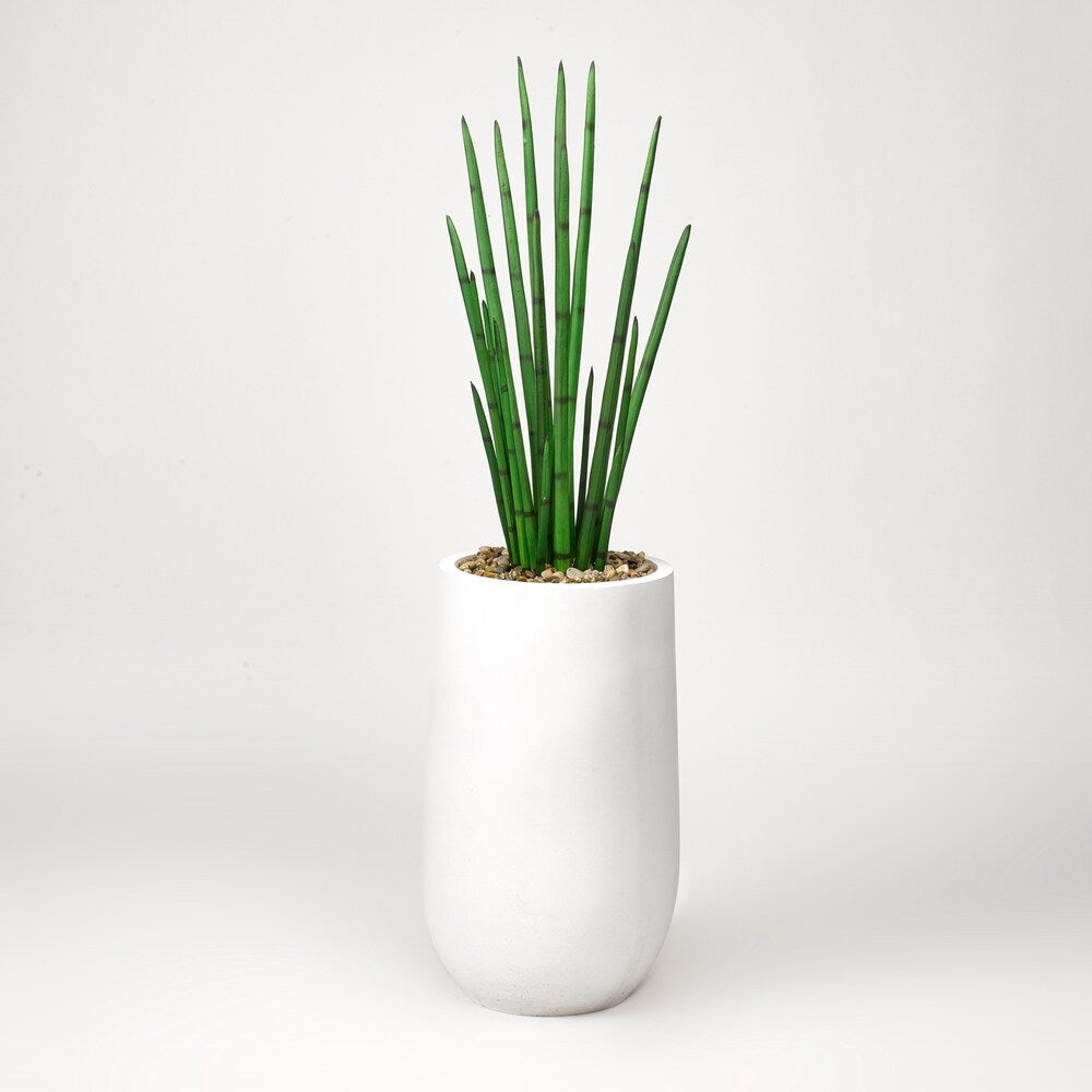 D&W Silks Snake Plant in Round White Planter - Green