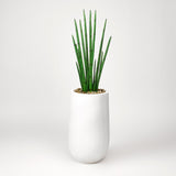 D&W Silks Snake Plant in Round White Planter - Green