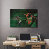 Snowy-Bellied Hummingbird Male Flying Near Firebush Flowers Cloud Forest, Costa Rica Print On Wood by Michael & Patricia Fogden