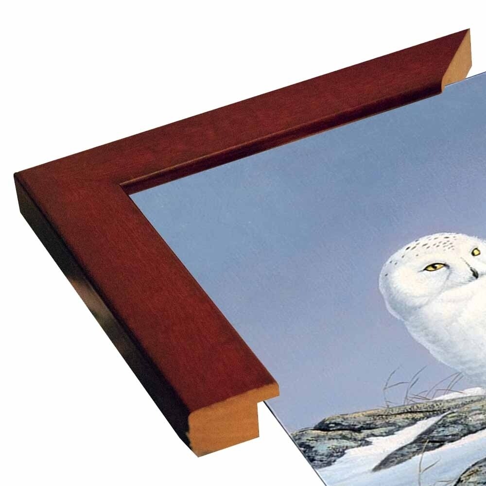 Snowy Owl-WILGOE81236 Framed Print 10.75"x6.75" by Wilhelm Goebel