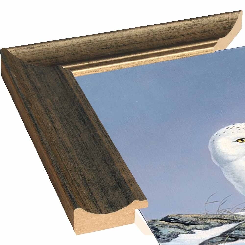 Snowy Owl-WILGOE81236 Framed Print 10.75"x6.75" by Wilhelm Goebel