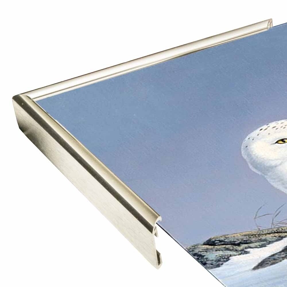 Snowy Owl-WILGOE81236 Framed Print 10.75"x6.75" by Wilhelm Goebel
