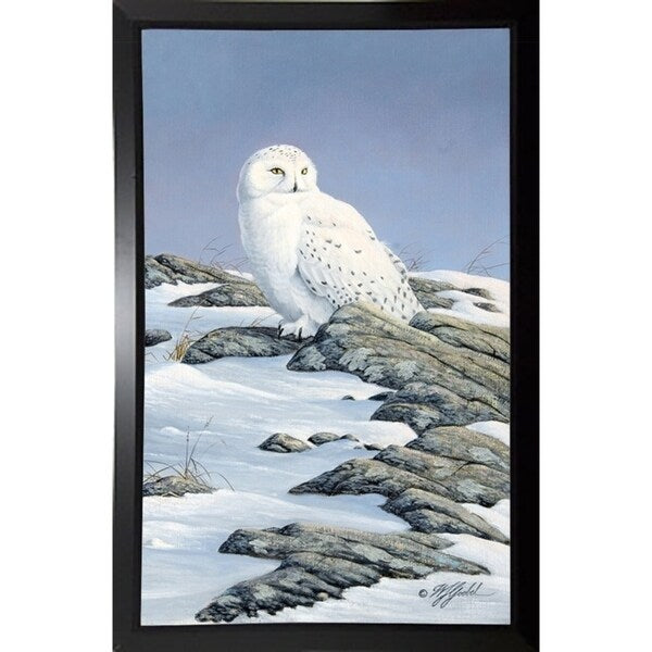Snowy Owl-WILGOE81236 Framed Print 10.75"x6.75" by Wilhelm Goebel