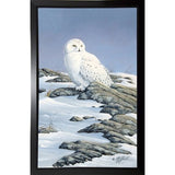 Snowy Owl-WILGOE81236 Framed Print 10.75"x6.75" by Wilhelm Goebel