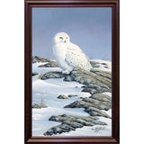 Snowy Owl-WILGOE81236 Framed Print 10.75"x6.75" by Wilhelm Goebel