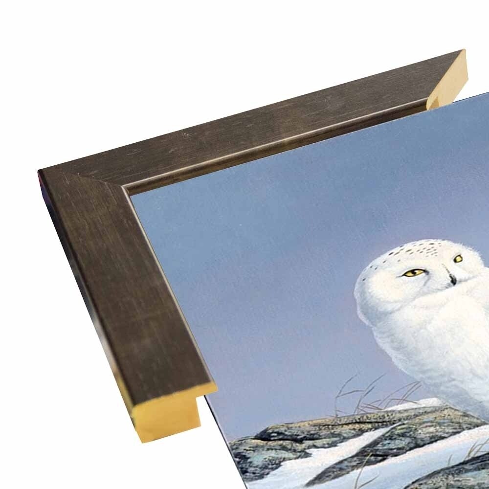 Snowy Owl-WILGOE81236 Framed Print 10.75"x6.75" by Wilhelm Goebel