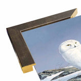 Snowy Owl-WILGOE81236 Framed Print 10.75"x6.75" by Wilhelm Goebel