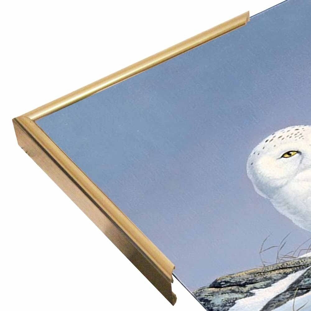 Snowy Owl-WILGOE81236 Framed Print 10.75"x6.75" by Wilhelm Goebel